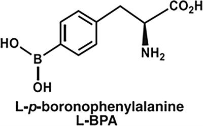 Evaluation of Pharmacokinetics of Boronophenylalanine and Its Uptakes in Gastric Cancer